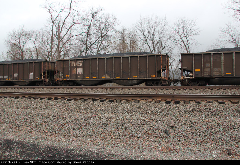 NS 10202